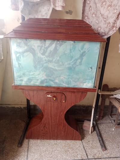 fish equarium