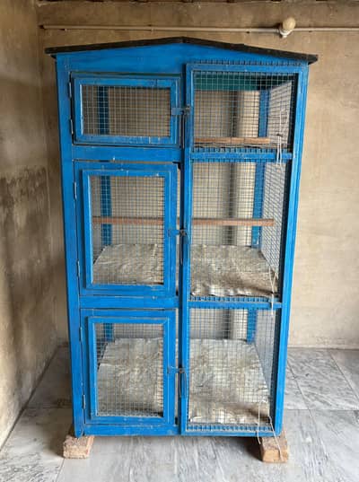 Pigeon Hens Cage