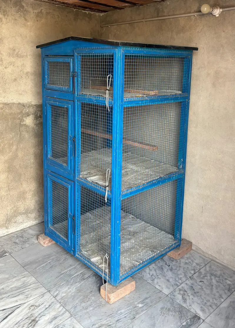 Pigeon Hens Cage — photo 2