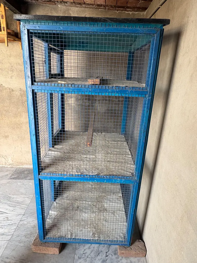 Pigeon Hens Cage — photo 3