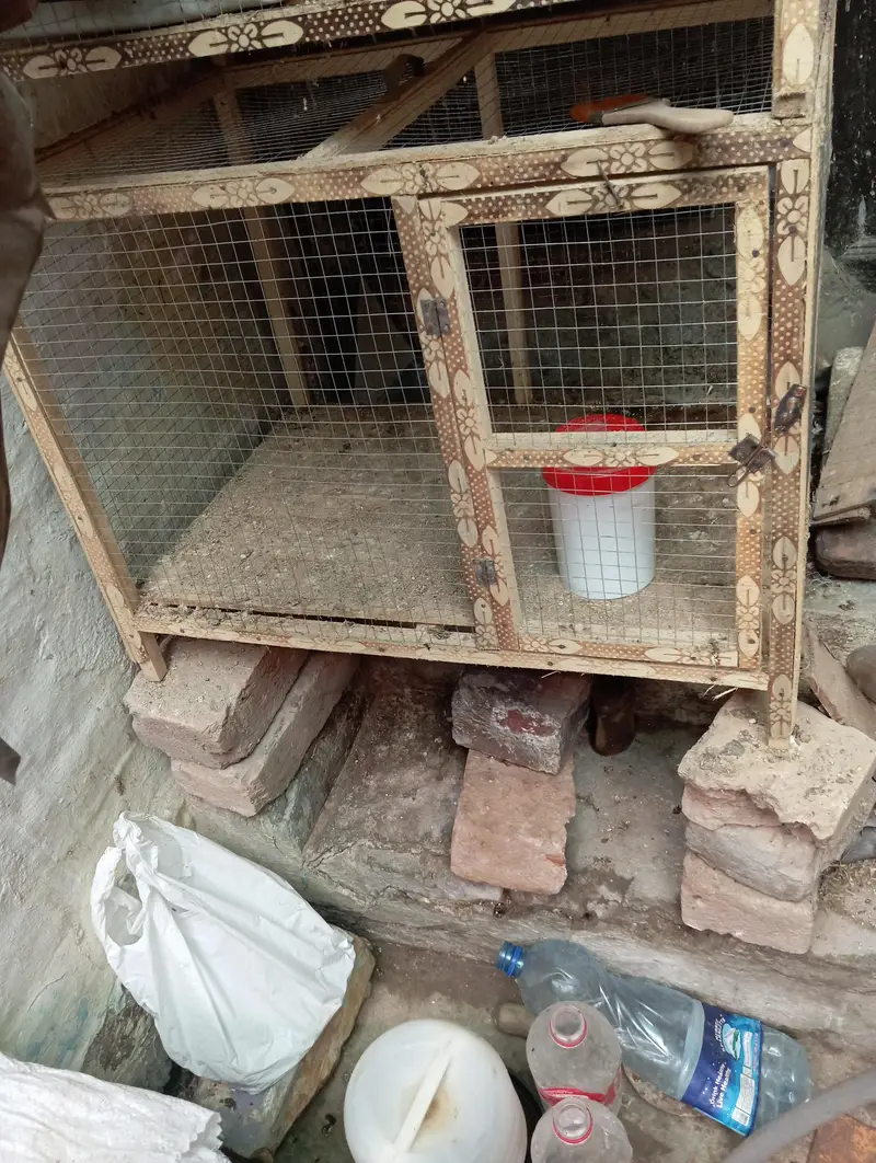 2 cages for sale — photo 2