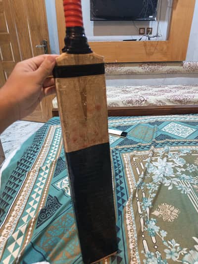 hard ball bat