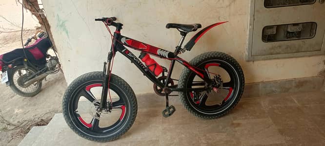 bicycle for kids
