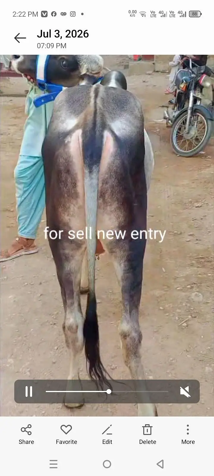 bht acha bachra h — photo 3