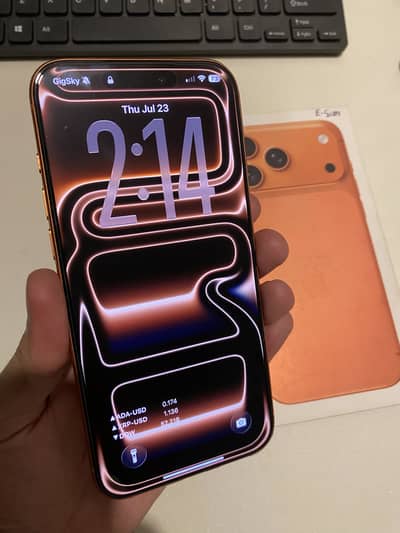 iPhone 17 Pro Max Factory Unlock