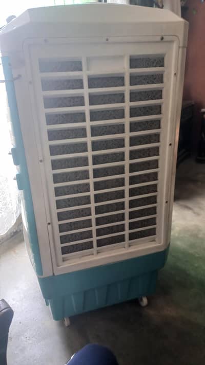 rolex Cooler 220 VOLT