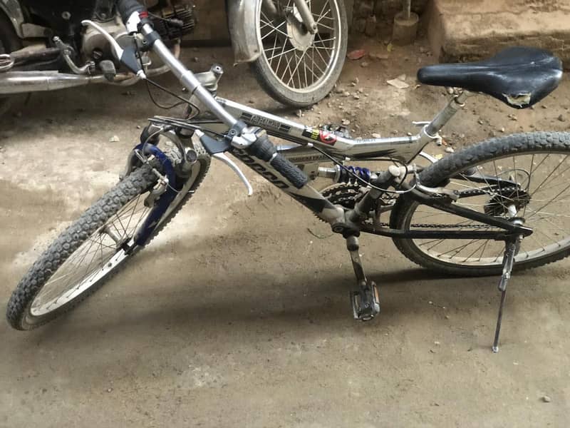 Japany cycle 2