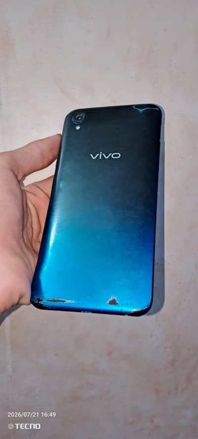vivo y