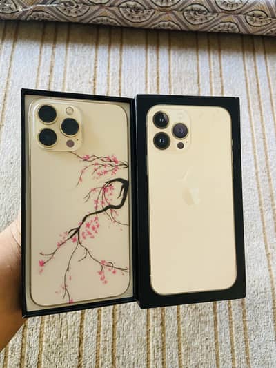 13 Pro Max FU