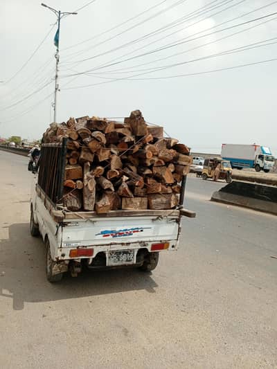 مکمل خشک کیکر کی لکڑی برائے فروخت