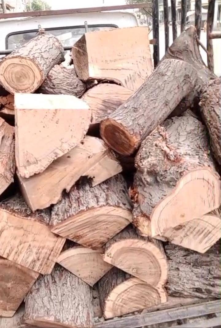 مکمل خشک کیکر کی لکڑی برائے فروخت 3
