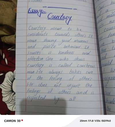 assignment writing