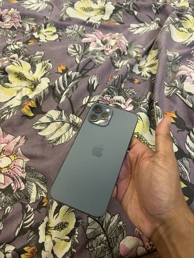 iPhone 12 Pro max pta approved