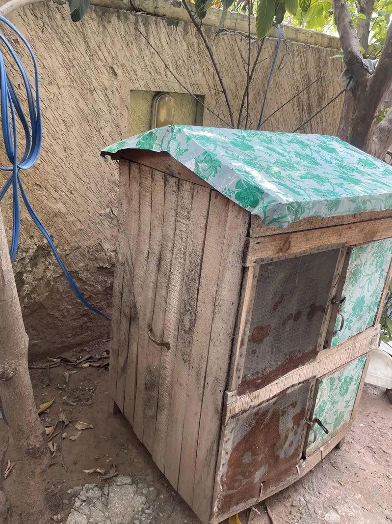 Double portions cage for hens or pigeons — photo 2
