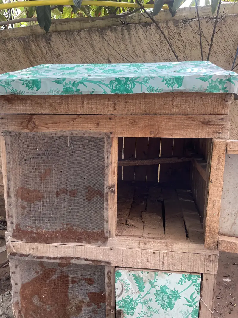 Double portions cage for hens or pigeons — photo 4
