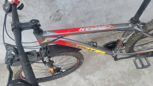 Cycle steenles steel raceing cycle low bughat