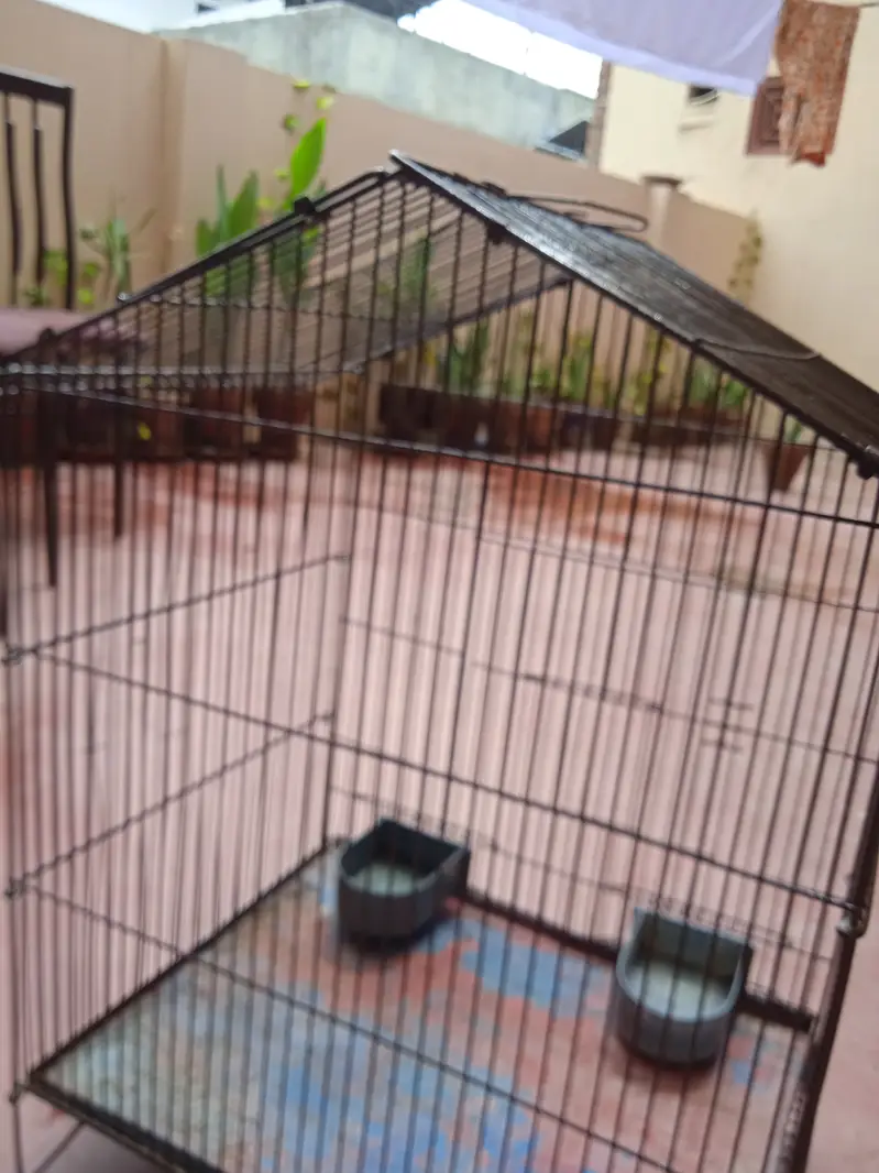 Pet cage — photo 6