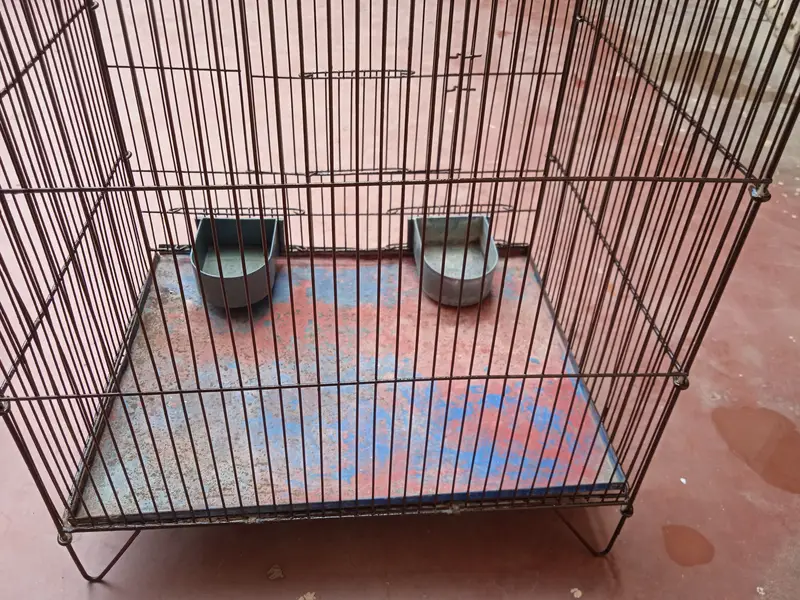 Pet cage — photo 7