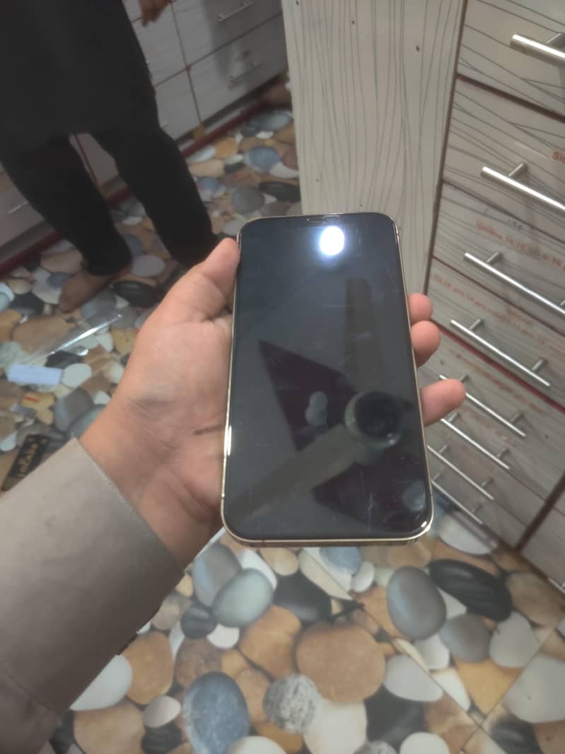 iphone 12 pro max 1