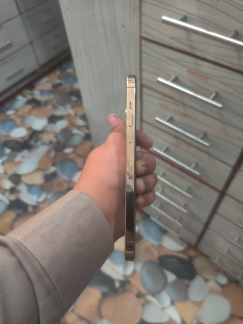 iphone 12 pro max 6