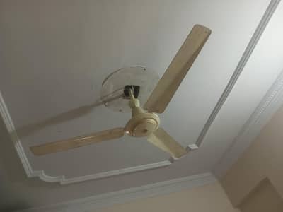 ac ceiling fan