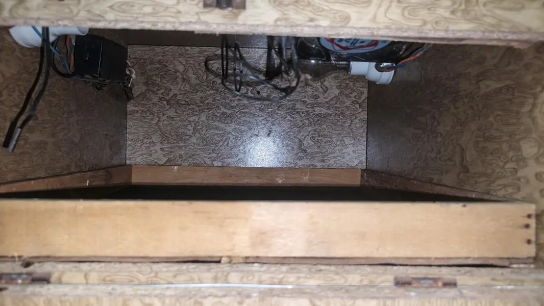 incubetor — photo 2