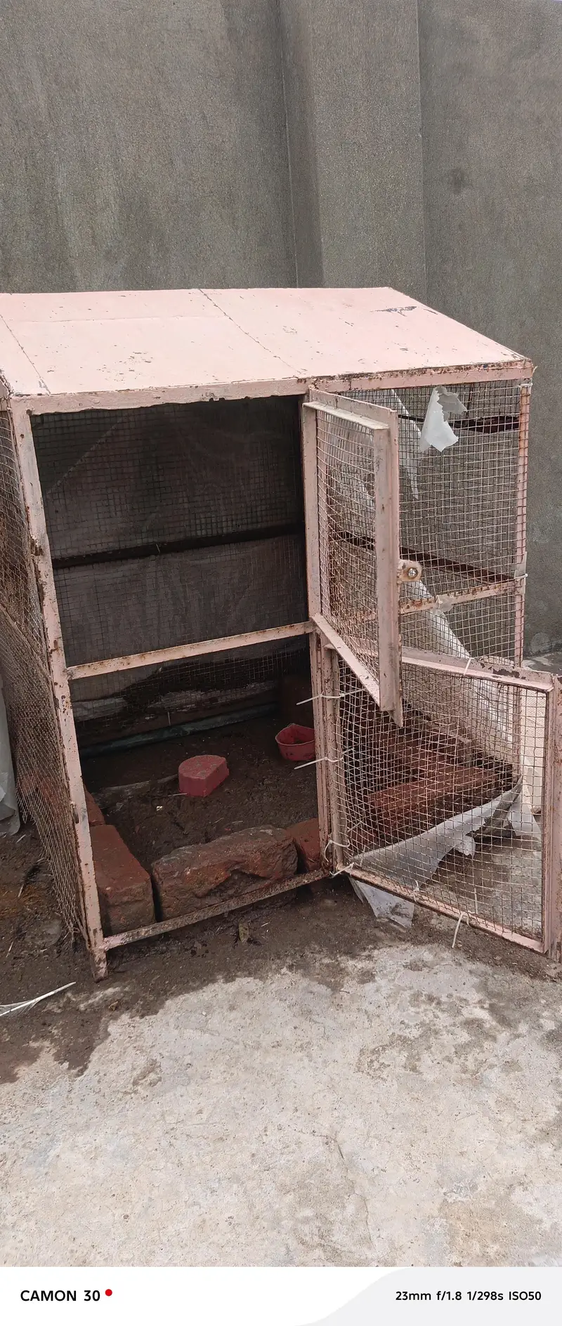 4 different sizes cage for cats,dogs,hens,all birds, available — photo 2