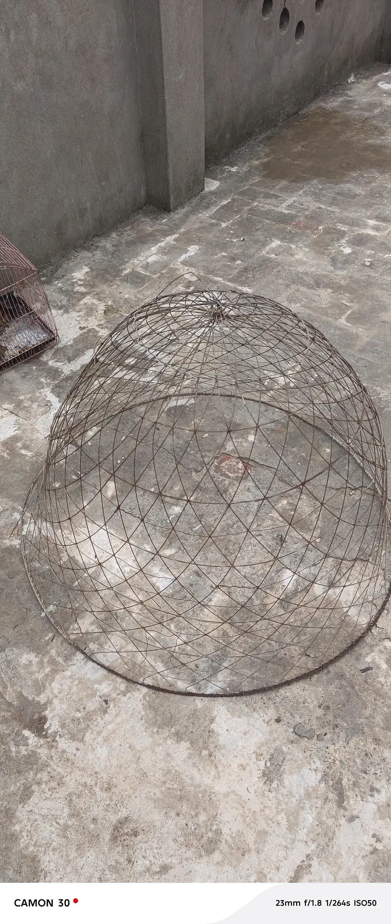 4 different sizes cage for cats,dogs,hens,all birds, available — photo 4