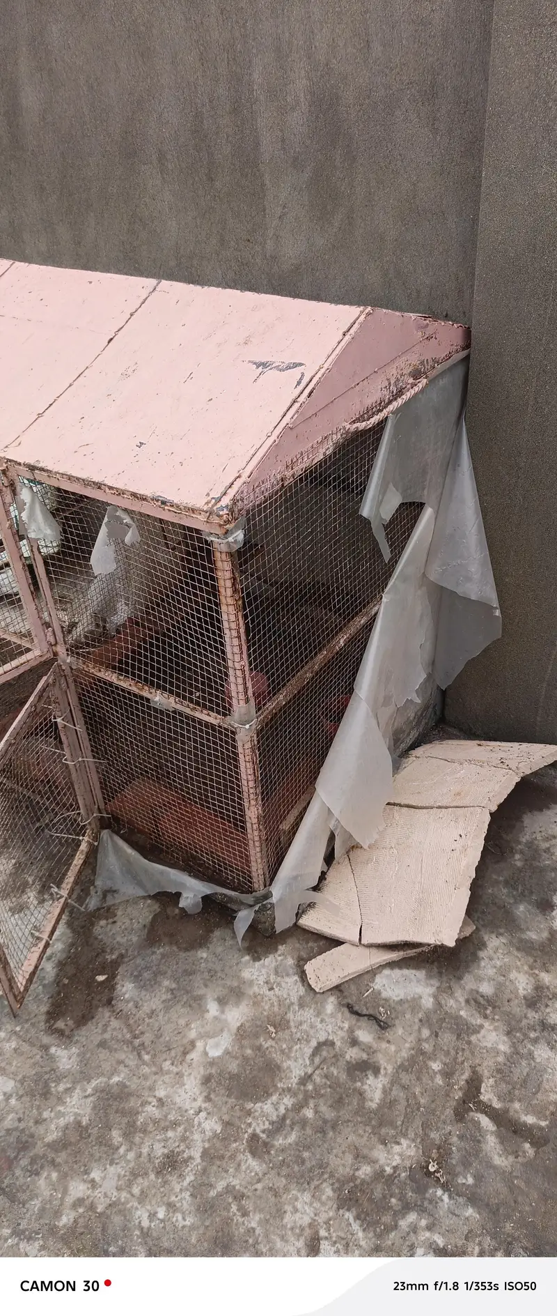 4 different sizes cage for cats,dogs,hens,all birds, available — photo 6