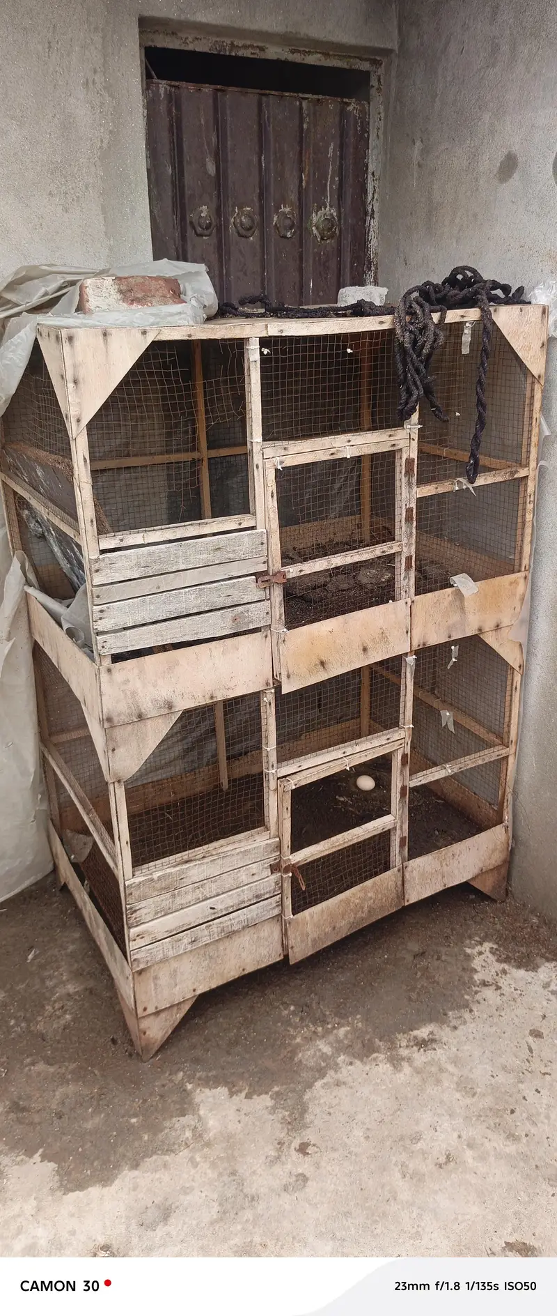 4 different sizes cage for cats,dogs,hens,all birds, available — photo 7