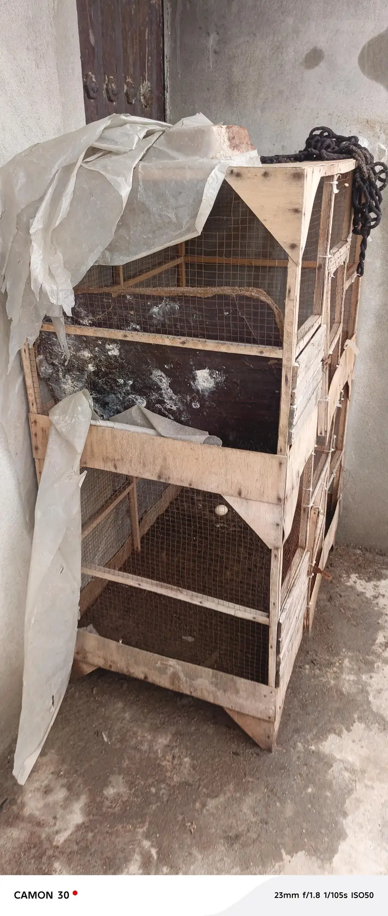 4 different sizes cage for cats,dogs,hens,all birds, available — photo 8