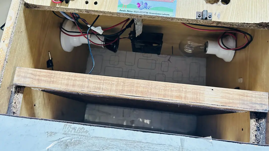 Incobatr mechine 100 egg — photo 5