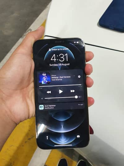 Apple iPhone 12 Pro Max