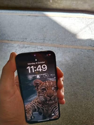 Apple iPhone 13 jv