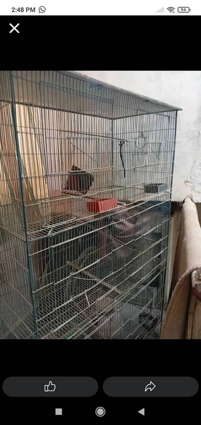 Birds Cage 6 portion
