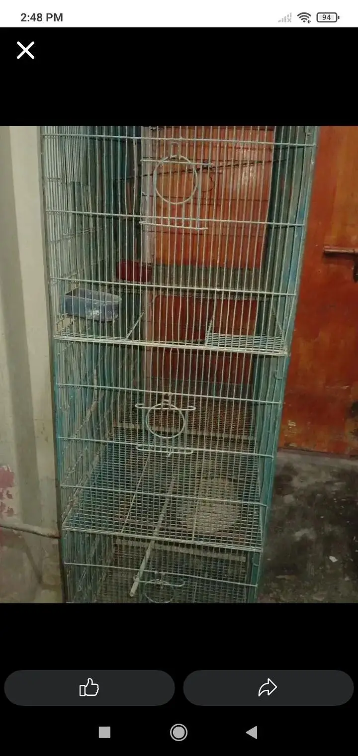 Birds Cage 6 portion — photo 2