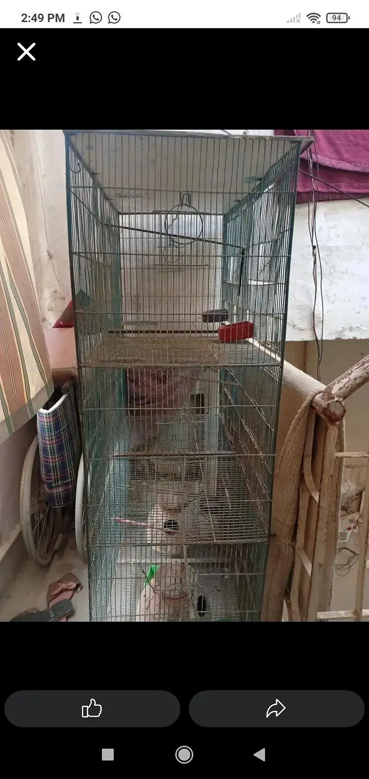 Birds Cage 6 portion — photo 3