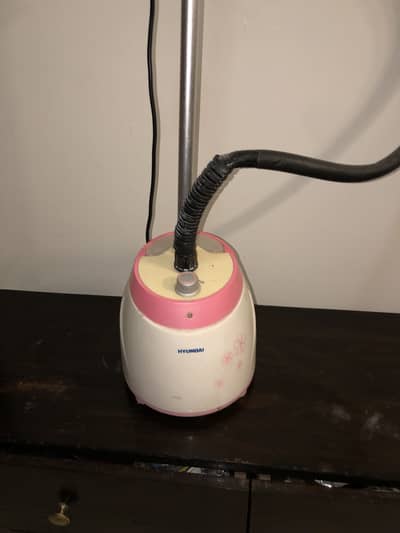 Hyundai standing steamer