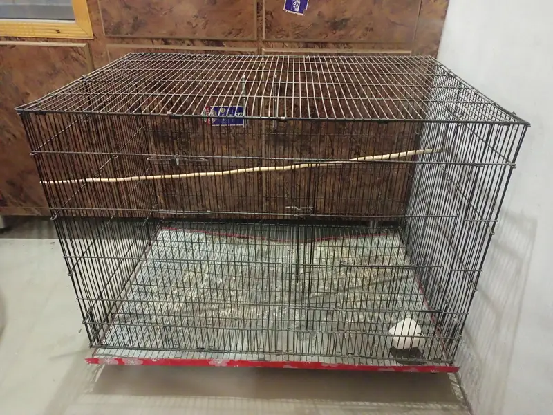 new Folding Cage for birds — photo 2