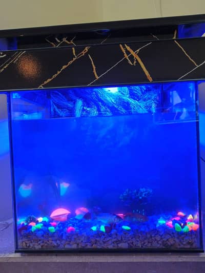 Fish incubator Aquarium for sale
