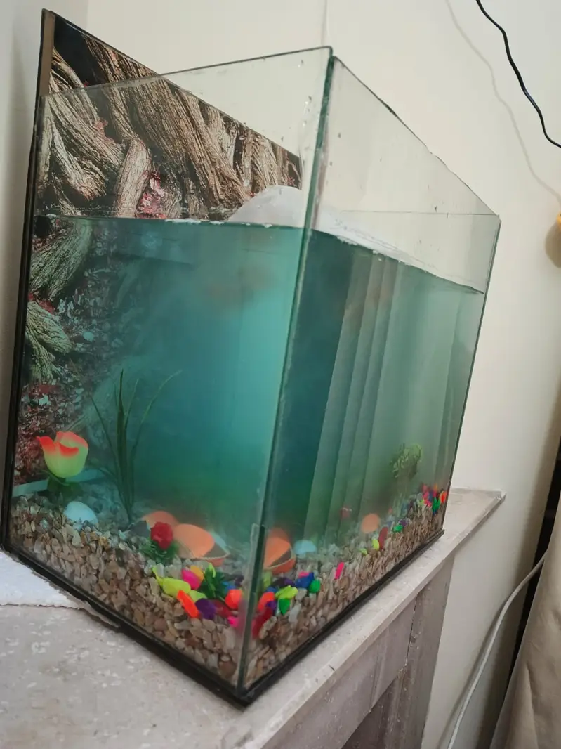 Fish incubator Aquarium for sale — photo 3