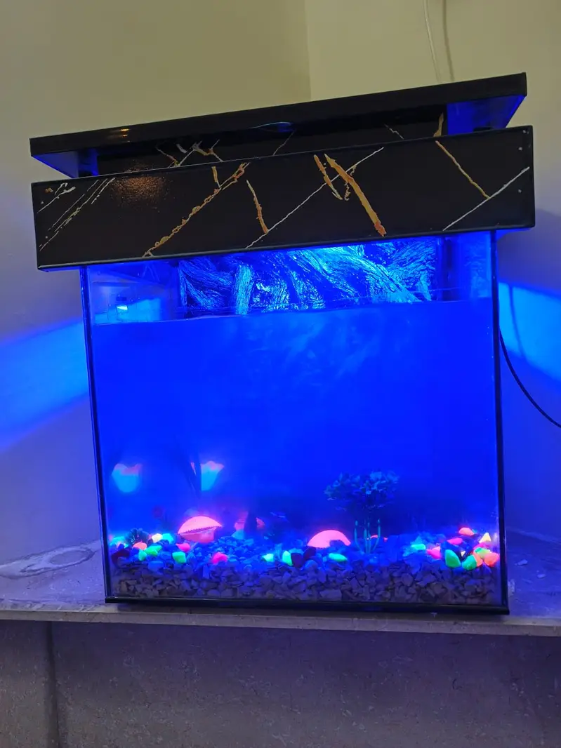 Fish incubator Aquarium for sale — photo 4