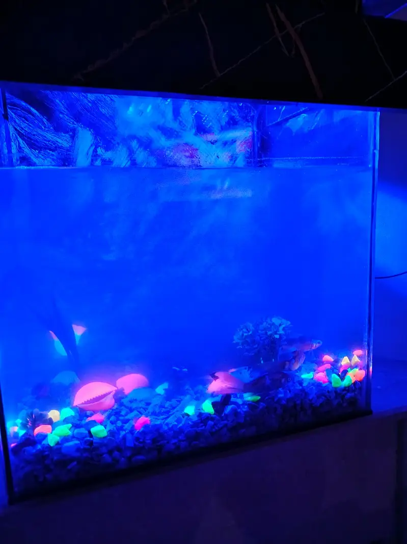 Fish incubator Aquarium for sale — photo 5