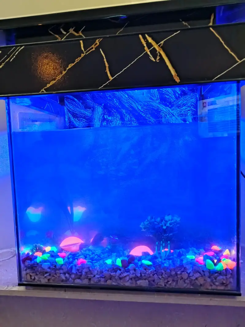 Fish incubator Aquarium for sale — photo 6