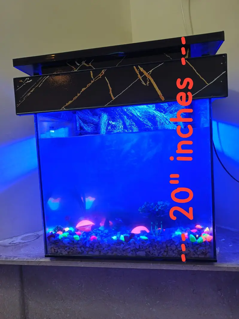 Fish incubator Aquarium for sale — photo 7