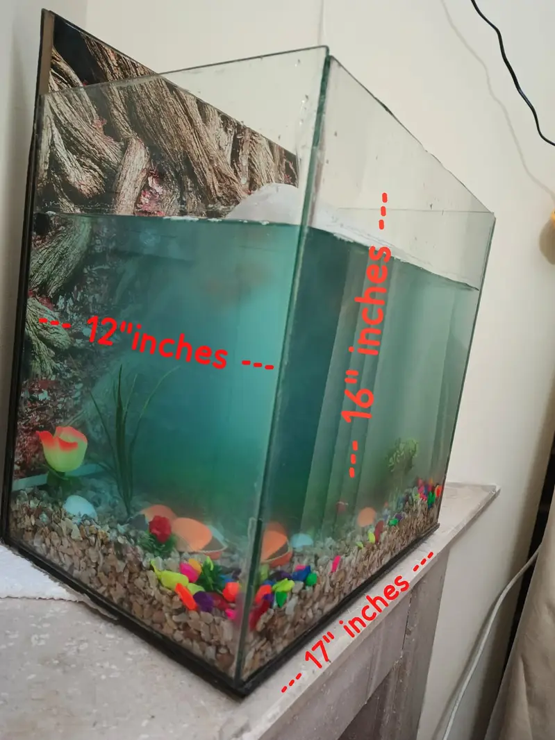 Fish incubator Aquarium for sale — photo 8