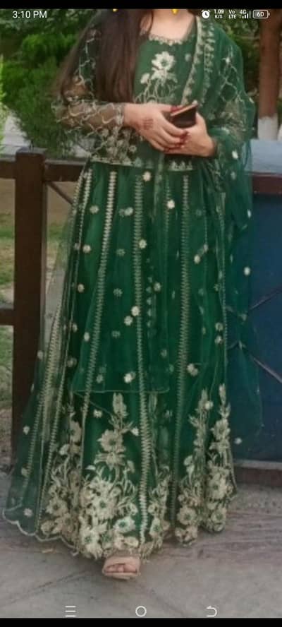 green color maxci