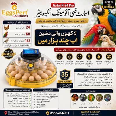 Original Imported Full Automatic Eggs Incubator Ac dC Direct Importer