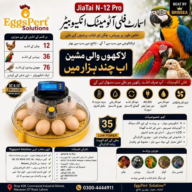 Original Imported Full Automatic Eggs Incubator Ac dC Direct Importer — photo 2