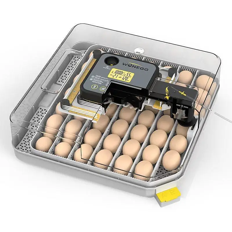 Original Imported Full Automatic Eggs Incubator Ac dC Direct Importer — photo 4